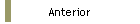 Anterior
